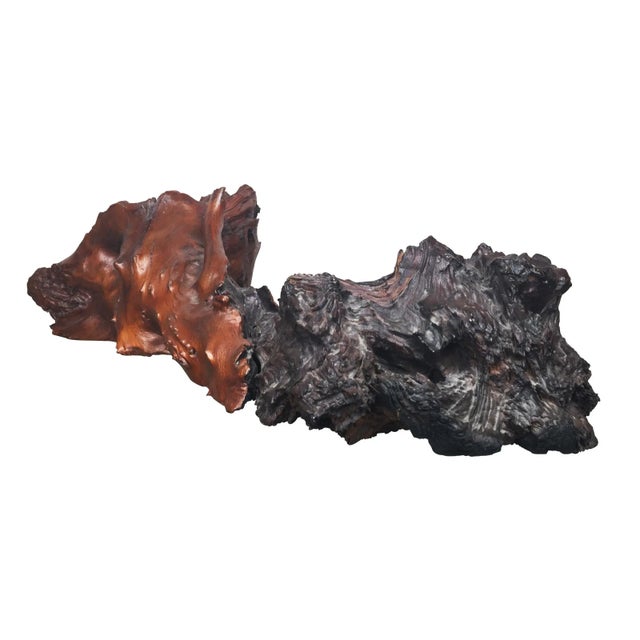 Japanese 19th Century Japanese Meiji Wabi Sabi Root Form For Sale - Image 3 of 6