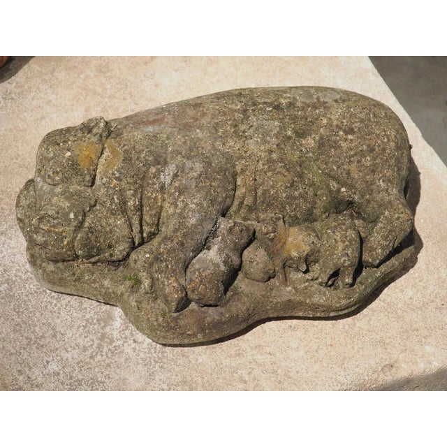 Weathered Cast Stone Pig and Piglets From England, 20th C. For Sale - Image 11 of 13