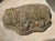 Weathered Cast Stone Pig and Piglets From England, 20th C. For Sale - Image 11 of 13