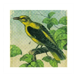 Antique 'Yellow Bird' Archival Print