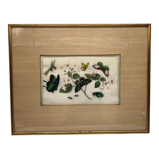 19th Century Chinese Export Butterfly & Insect Pith Watercolor For Sale
