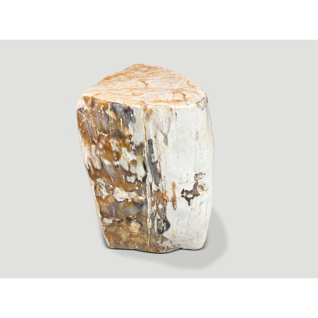 Andrianna Shamaris Multifaceted Modern Organic Petrified Wood Side Table For Sale - Image 4 of 4
