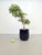 Black Round Planter on Wheels by Anna Castelli for Kartell, 1970s, in Very Good conditions. Designed 1970 to 1979 This...