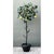 This vintage Italian painted metal lemon tree captures the sun-drenched whimsy of a Mediterranean courtyard in a...