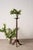 Antique English plant stand featuring classic bobbin detailing, elegant proportions, and rich aged patina