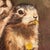 Contemporary Vintage 1979 Original Oil Painting Prairie Dogs For Sale - Image 3 of 4