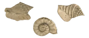 Vintage Mid Century Hollywood Regency Brass Shell Wall Sculptures Wall Art