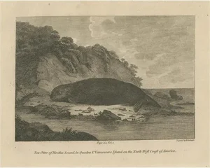 W. Grainger, Sea Otter of Nootka Sound in British Columbia, Canada, 1801, Print