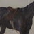 Wood Antique Equestrian Oil Painting of a Saddled Horse in Gilded Frame For Sale - Image 7 of 12