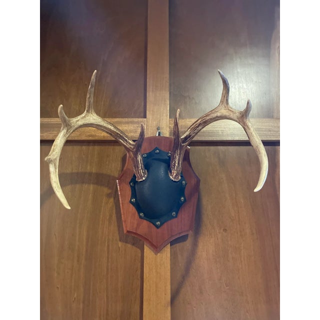Rustic European Mid 20th Century Vintage Trophy Mount Antlers Pair For Sale - Image 3 of 12