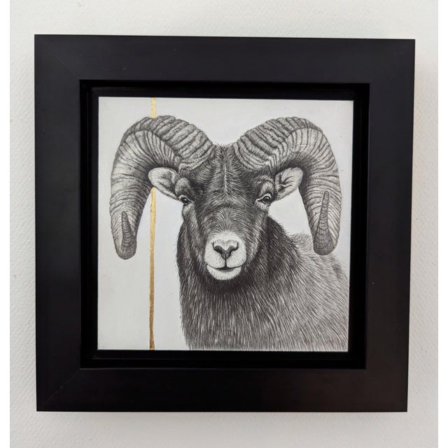 This artwork presents a striking close-up of a ram, rendered in meticulous graphite on clayboard, accentuated by a...