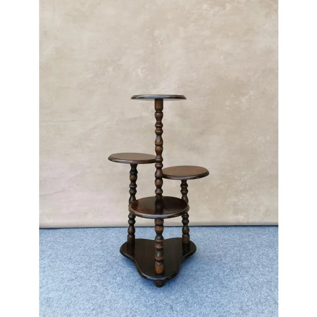 Vintage 4-Arm Plant Stands in Oak, Germany, 1940 / 50s For Sale - Image 12 of 12