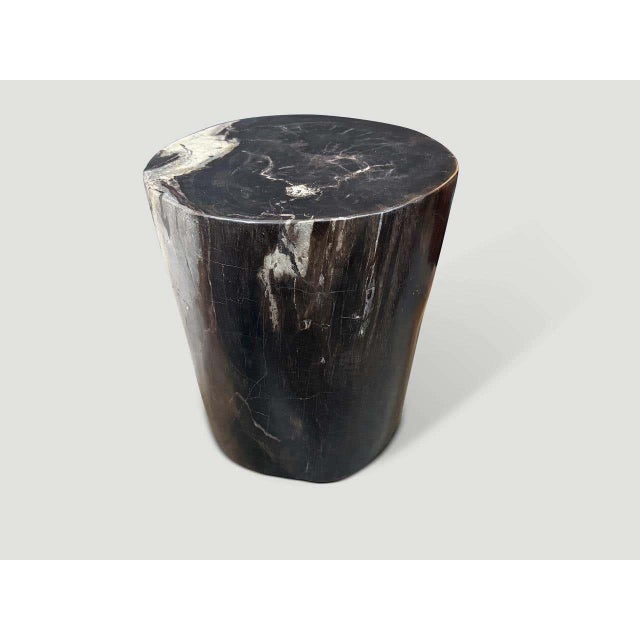 2010s Andrianna Shamaris Impressive Ancient Petrified Wood Side Table For Sale - Image 5 of 6