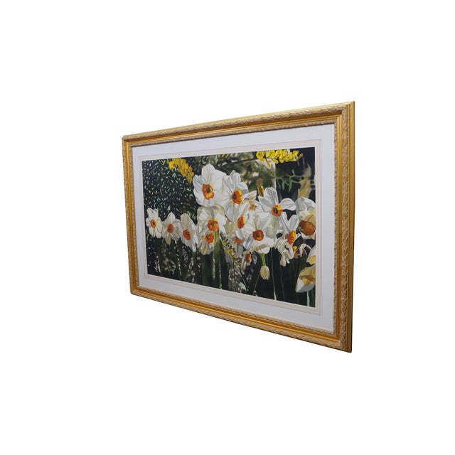 A very large and impressive vintage watercolor painting by Deborah Rubin, aptly titled "Daffodils". A luminous and...