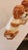 Victorian Early 20th Century Pair of Ceramic Staffordshire Spaniel Dogs For Sale - Image 3 of 10