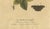 Early 18th Century E. Albin, Butterfly Life Cycle on Leafy Branch, Hand-Colored Engraving, 1720 For Sale - Image 5 of 10