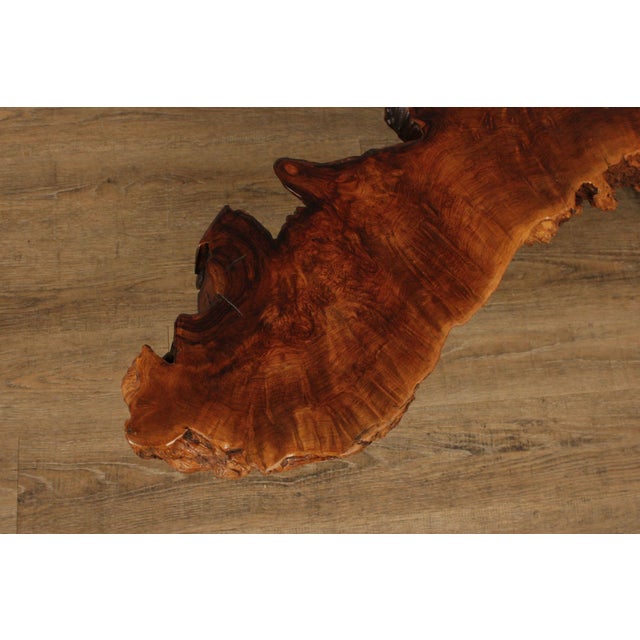 Mid Century Modern Live Edge Driftwood Coffee Table For Sale In Philadelphia - Image 6 of 12