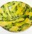 19th Century 19th Century Slipware Bowl With Freeform Ochre and Green Glaze For Sale - Image 5 of 12
