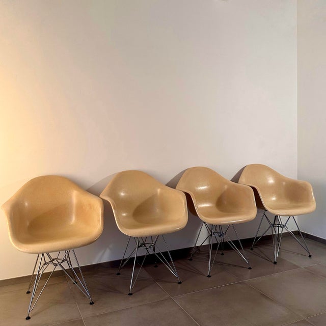Herman Miller DAR Armchairs in Fiberglass by Charles and Ray Eames for Herman Miller, 1960s, Set of 4 For Sale - Image 4 of 12