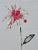 Contemporary Framed Organic Modern Minimalist Flower Study | Botanical Painting | Herbarium Wall Art For Sale - Image 3 of 5