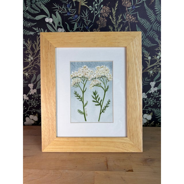 This original watercolor features two yarrow stems rendered with delicate detail and soft luminous color. The balanced...