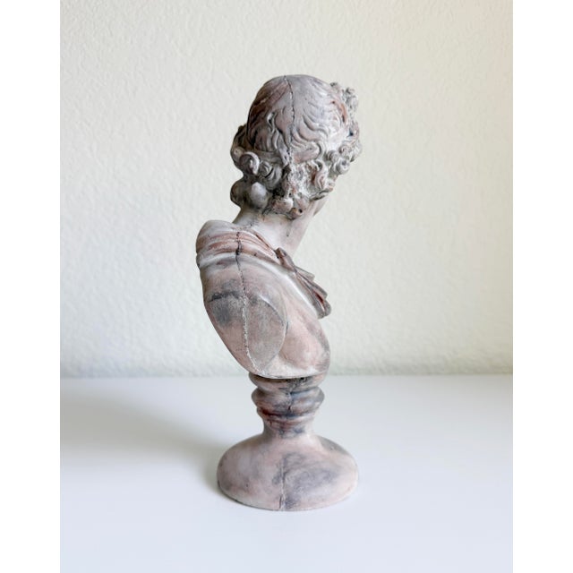 Classical Bust of Apollo Belvedere, Early 21st Century For Sale - Image 10 of 12