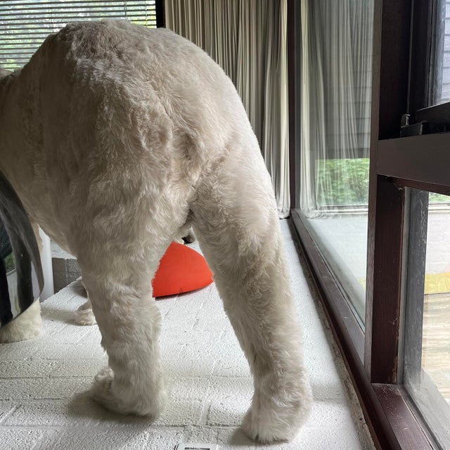 Big White Plush Polar Bear, 2000s For Sale - Image 4 of 7