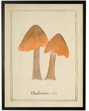 Orange Mushrooms in Black & Copper Shadowbox 13 X 17