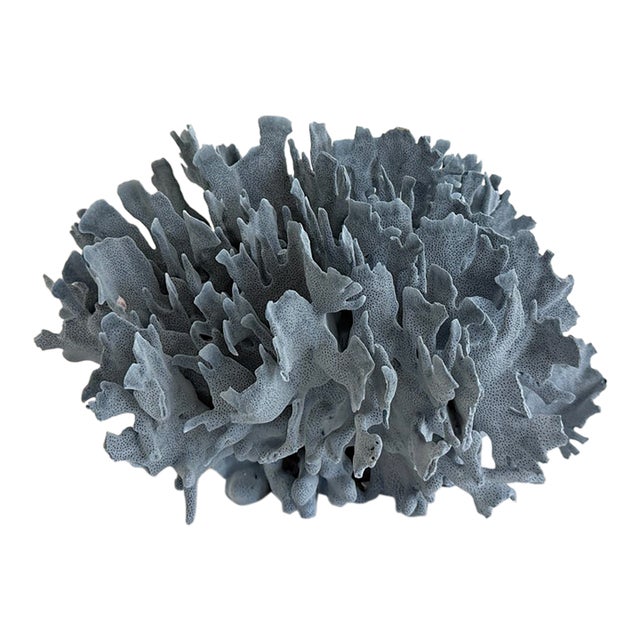 Massive Natural Blue Coral Specimen Coastal Decor For Sale