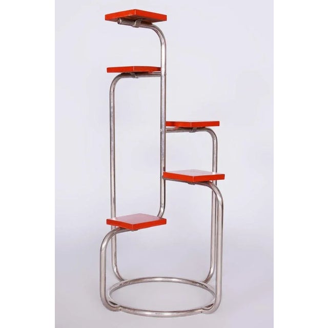 Bauhaus Bauhaus Plant Stand in Chrome and Lacquered Wood, Former Czechoslovakia, 1930s For Sale - Image 3 of 8