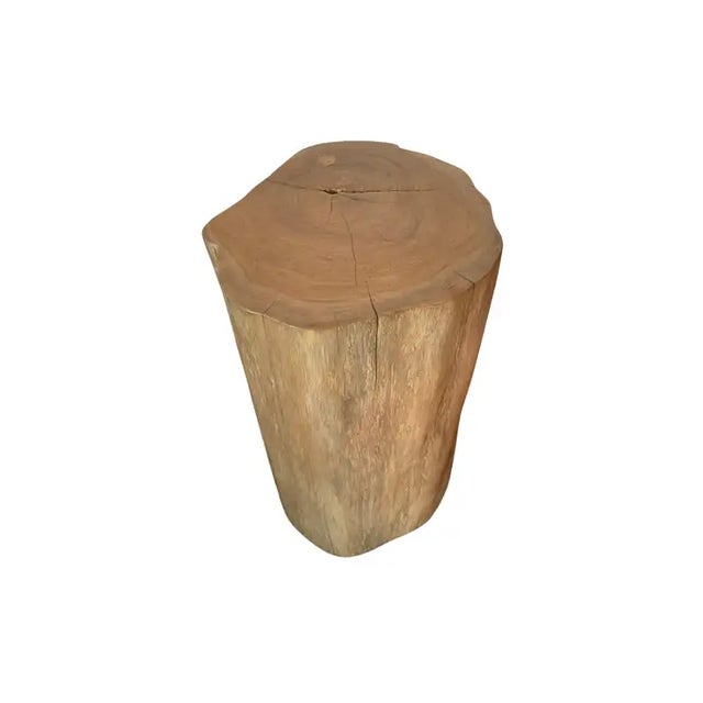 2020s Tree Trunk Side Table Solid Teak Wood Natural Finish Modern Organic For Sale - Image 5 of 6