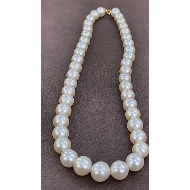 Graduating Cream Color South Sea Pearls Necklace 14 Karat Yellow Gold Clasp For Sale - Image 4 of 18
