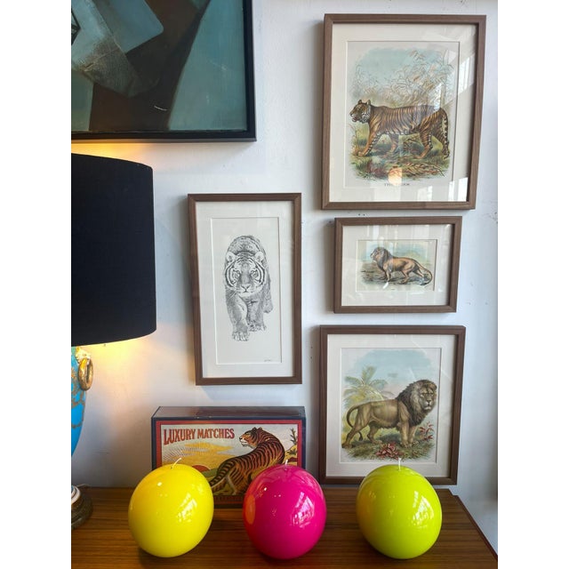 Classic antique illustration depicting a lion in profile, rendered in soft, natural tones of 19th-century natural history...