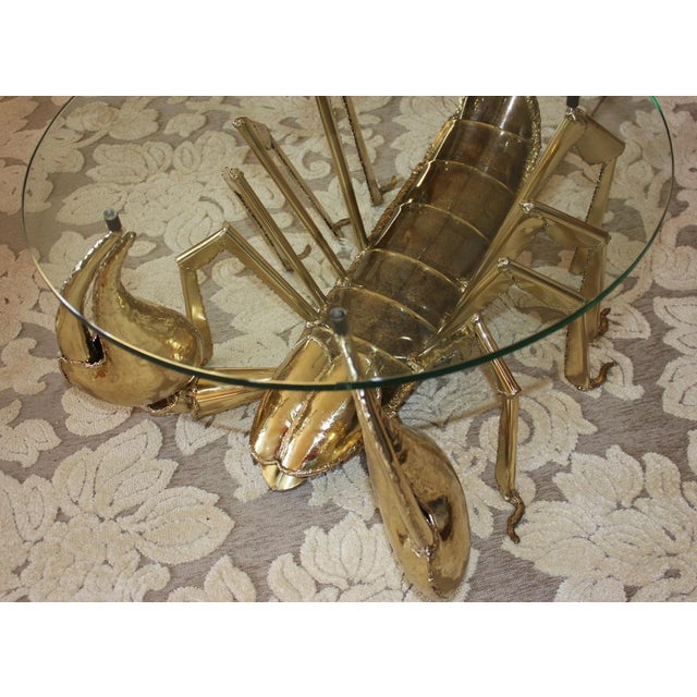 Illuminated Brass Scorpion Coffee Table by Jacques Duval-Brasseur, 1970s For Sale - Image 14 of 18