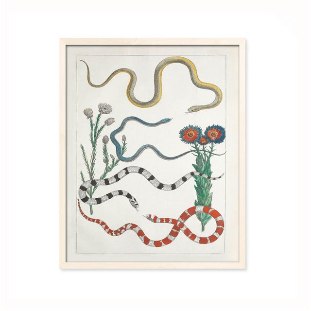 Paint Colorful Southwest Snakes and Botanical Giclée For Sale - Image 7 of 7