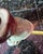 1990s Vintage Henriksen Imports Hand-Painted Majolica Style Ceramic Frog & Tulip Candlestick Holder For Sale - Image 5 of 7
