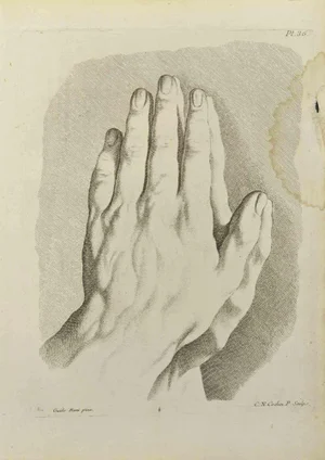 Nicholas Cochin, Anatomy Studies after Guido Reni, Etching, 1755