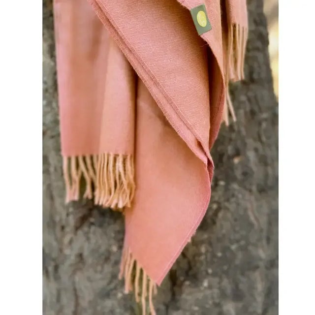 2020s Baby Alpaca Throw in Persimmon For Sale - Image 5 of 7