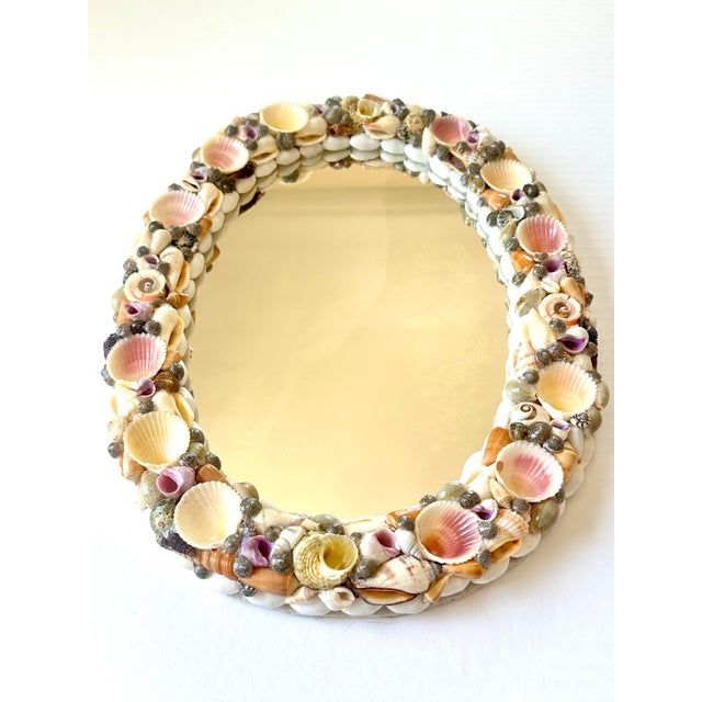 Handcrafted Seashell Oval Mirror – Coastal Beach House Decor, Velvet Backing For Sale - Image 12 of 12