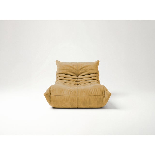 Tan Togo Sofa in Curry Microfiber by Michel Ducaroy for Ligne Roset, Set of 5 For Sale - Image 8 of 12