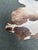 7ft X 8ft Hair on Hide Cow Print Area Rug For Sale - Image 4 of 12