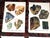This set of twelve (12) authentic antique lithographs (offset) depicts many types of minerals in their natural form, all...