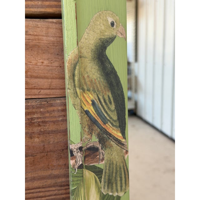 Vintage Green Botanical Decoupage Wall Mirror With Tropical Birds and Butterflies For Sale - Image 9 of 12