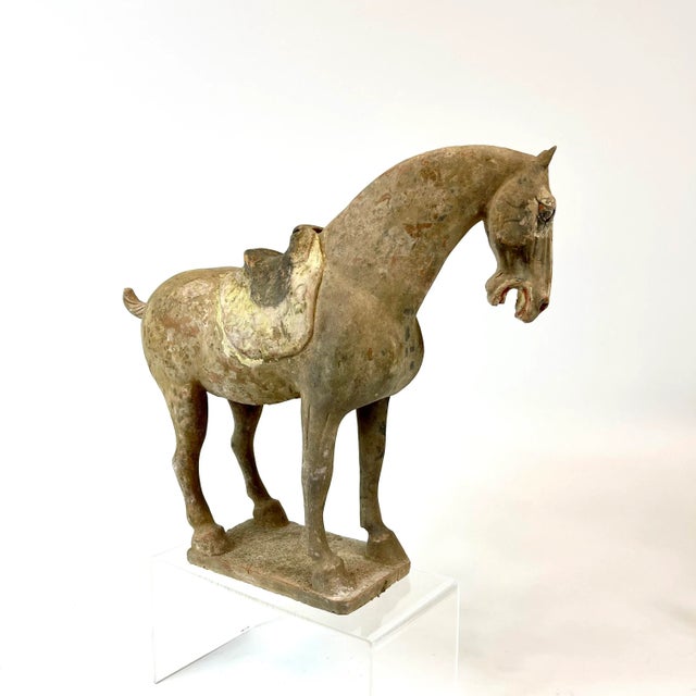 Ceramic Chinese Tang Dynasty Terra Cotta Horse For Sale - Image 7 of 13