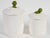 Mid-Century Modern Neil the Frog Sears Roebuck Ceramic Canister Set With Lids Set of 2 For Sale - Image 3 of 5