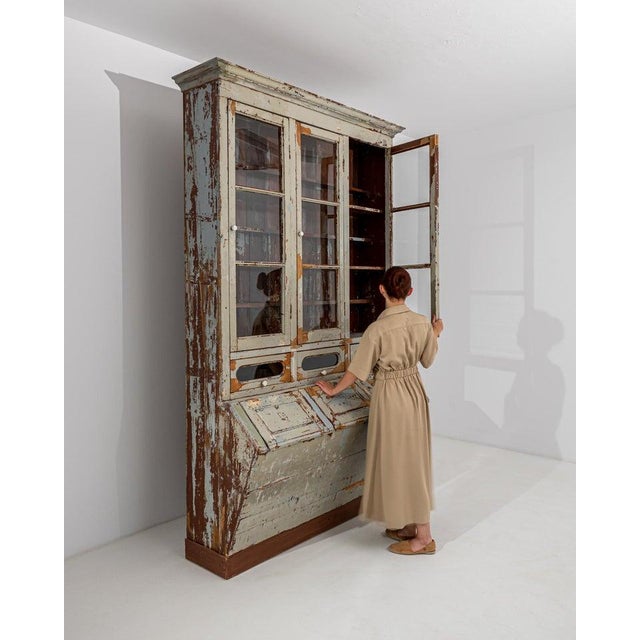 Wood 19th Century, Portuguese Wooden Vitrine For Sale - Image 7 of 13