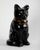 Midcentury French Glazed Ceramic Black Cat For Sale - Image 4 of 11