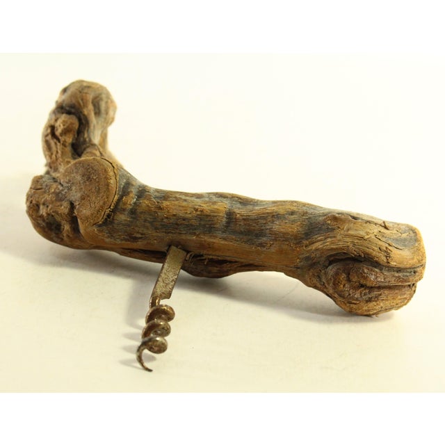 1960s 1960's Grapevine Corkscrew From Reine Pedauque Vineyard in Beaune, France For Sale - Image 5 of 12