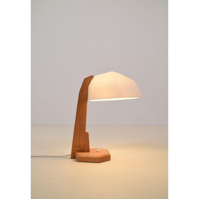Anthroposophical Table Lamp by Rudolf Dörfler, 1960s For Sale - Image 9 of 9