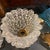 Metal Two 1990 Barovier Style Mid-Century Modern Brass and Rostrato Glass Wall Sconces 8 For Sale - Image 7 of 11